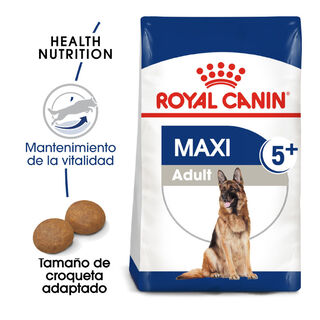 Royal Canin Maxi Adult 5+ ração seco para cão adulto de raça grande